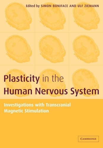 Plasticity in the Human Nervous System Investigations with Transcranial Magnetic Stimulation