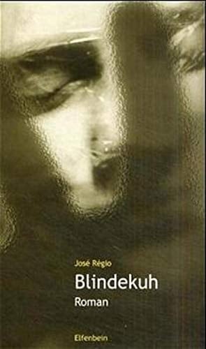 Blindekuh Roman
