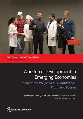 Workforce Development in Emerging Economies Comparative Perspectives on Institutions, Praxis, and Policies
