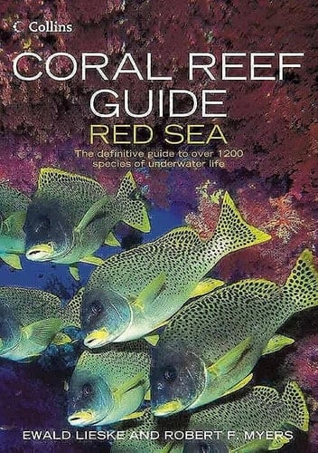 Coral Reef Guide Red Sea