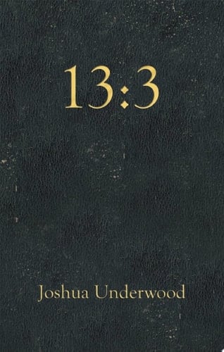 13:3