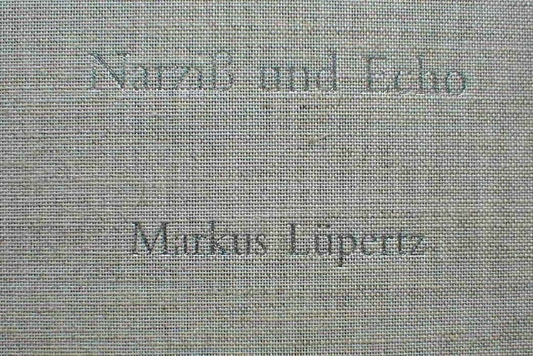 Narziss und Echo Texte, Reden, Gedichte, 1961-2004