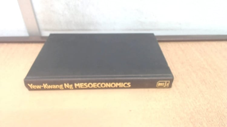 Mesoeconomics A Micro-analysis