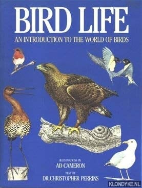 Bird Life An Introduction to the World of Birds