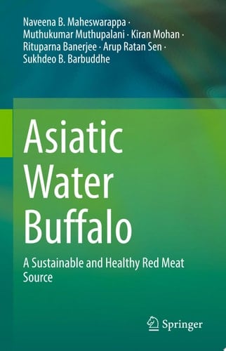 Asiatic Water Buffalo