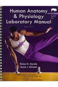 Human Anatomy & Physiology Lab Manual, Fetal Pig Version and InterActive Physiology 10-System Suite CD-ROM (Valuepack Item) Package (10th Edition)
