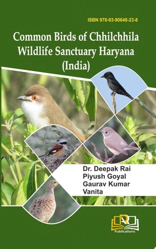 Common Birds of Chhilchhila Wildlife Sanctuary Haryana (India)