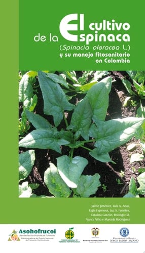 El cultivo de la espinaca y su manejo fitosanitario en Colombia