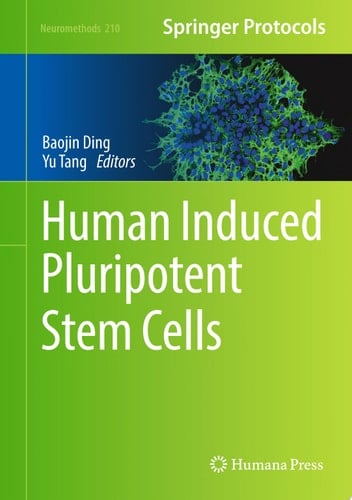 Human Induced Pluripotent Stem Cells