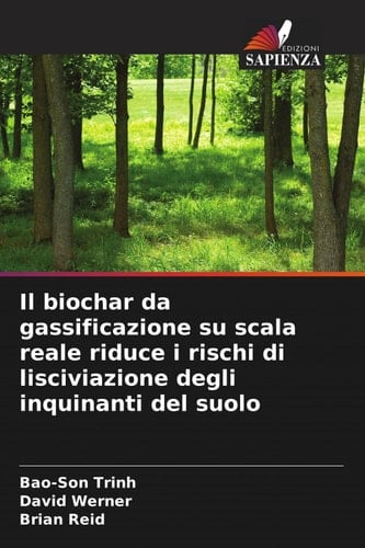 Il biochar da gassificazione su scala reale riduce i rischi di lisciviazione degli inquinanti del suolo (Italian Edition)