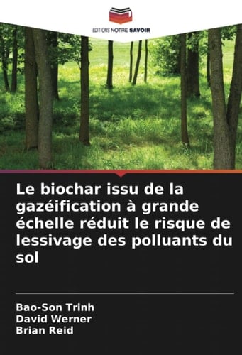 Le biochar issu de la gazéification à grande échelle réduit le risque de lessivage des polluants du sol (French Edition)