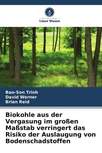 Biokohle aus der Vergasung im großen Maßstab verringert das Risiko der Auslaugung von Bodenschadstoffen (German Edition)