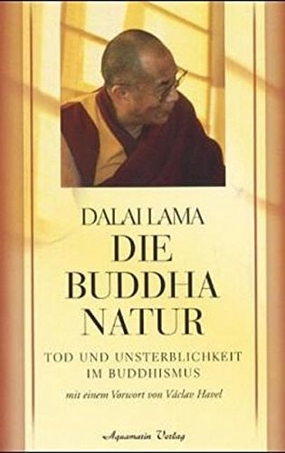 Die Buddha-Natur Tod und Unsterblichkeit im Buddhismus