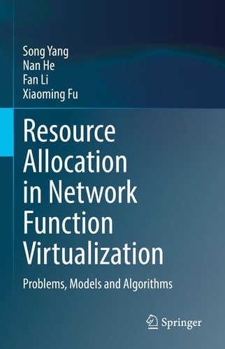 Resource Allocation in Network Function Virtualization Problems, Models and Algorithms