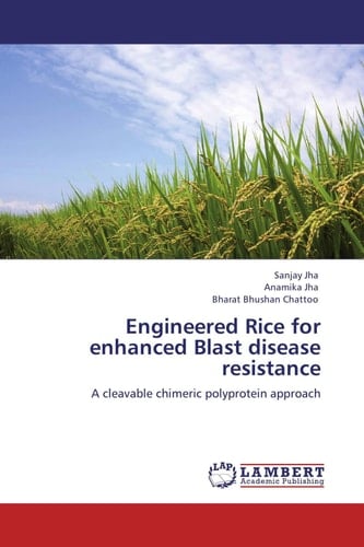 Engineered Rice for Enhanced Blast Disease Resistance