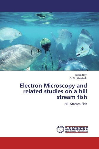 Electron Microscopy and Related Studies on a Hill Stream Fish