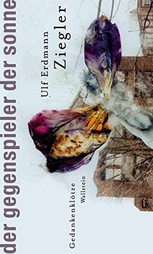 Der Gegenspieler der Sonne Gedankenklötze