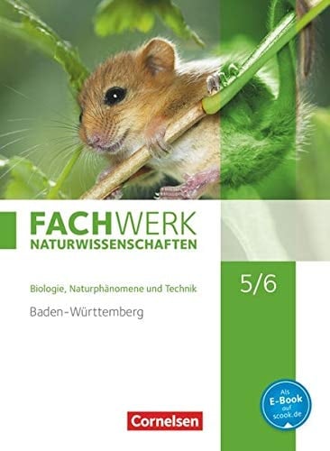 Fachwerk Naturwissenschaften