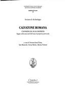Calvatone romana: Un pozzo e il suo contesto : saggio nella zona nord dell'area di proprietà provinciale (Quaderni di Acme) (Italian Edition)