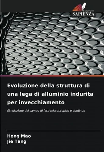 Evoluzione della struttura di una lega di alluminio indurita per invecchiamento: Simulazione del campo di fase microscopico e continuo (Italian Edition)