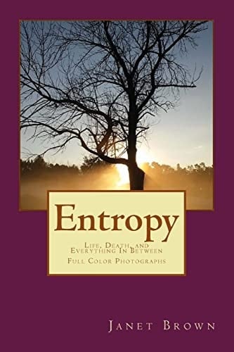 Entropy Life, Death, and Everything In Between Color Edition