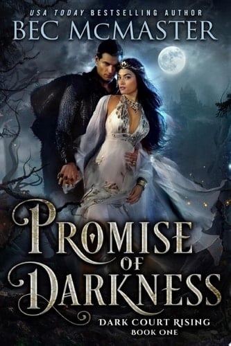 Promise of Darkness A steamy fairy tale Fae Fantasy Romance