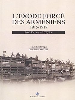 L'exode forcé des Arméniens, 1915-1917