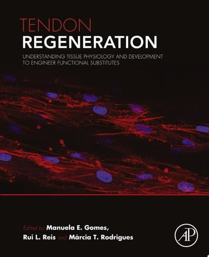Tendon Regeneration Understanding Tissue Physiology and Development to Engineer Functional Substitutes