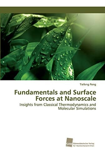 Fundamentals and Surface Forces at Nanoscale Insights from Classical Thermodynamics and Molecular Simulations