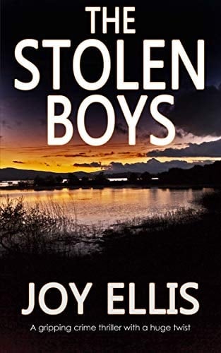 THE STOLEN BOYS a gripping crime thriller with a huge twist (JACKMAN & EVANS Book 5)