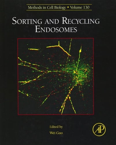 Sorting and Recycling Endosomes