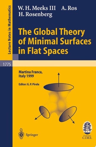 The Global Theory of Minimal Surfaces in Flat Spaces
