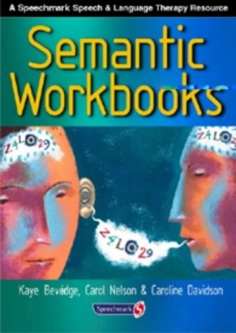 Semantic Workbooks