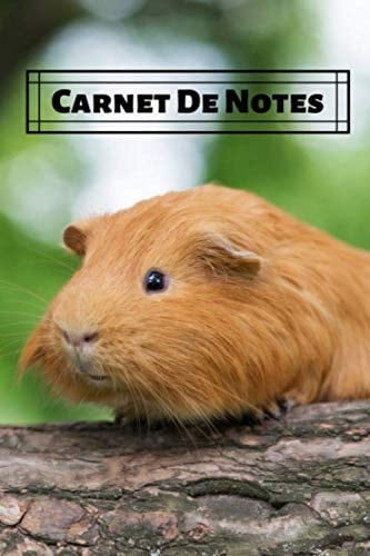 Carnet de Notes Cochon D'Inde: Journal Ligné 120 pages | Dimensions 6 x 9 po (15,2 x 22,9 cm) (French Edition)