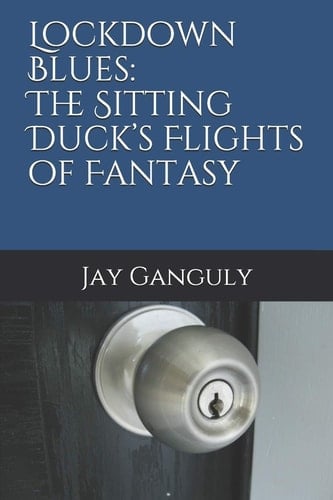 Lockdown Blues The Sitting Duck's Flights of Fantasy