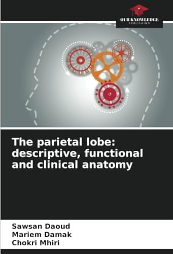 The parietal lobe: descriptive, functional and clinical anatomy