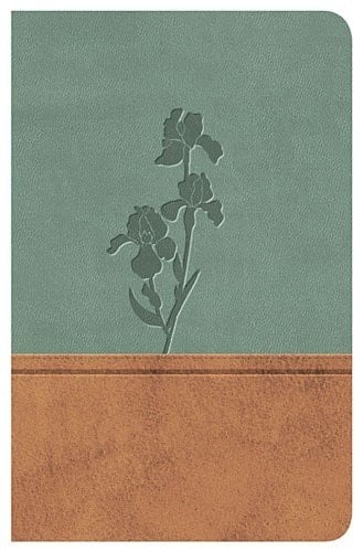 Biblia Clásica Edición Especial Duo Tono Pardo-Menta