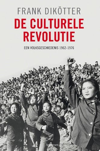 De culturele revolutie een volksgeschiedenis 1962-1976
