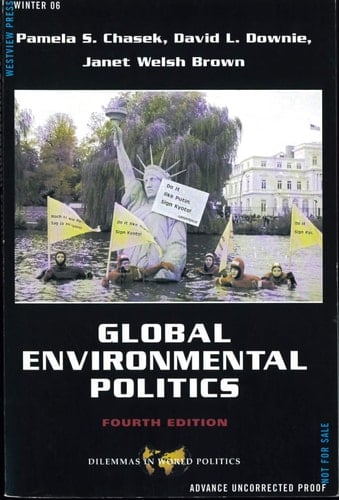 Global Environmental Politics (Dilemmas in World Politics)