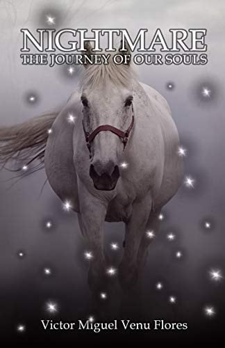 Nightmare The Journey of Our Soul