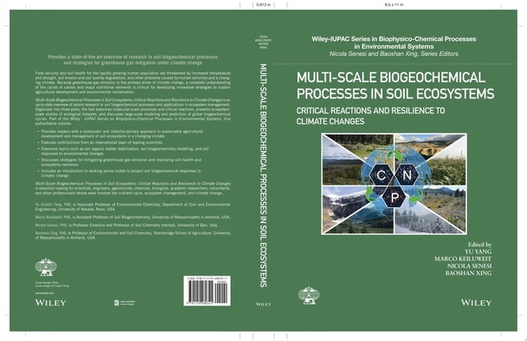 Multi-Scale Biogeochemical Processes in Soil Ecosystems Critical Reactions and Resilience to Climate Changes