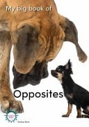 My Big Book of Opposites