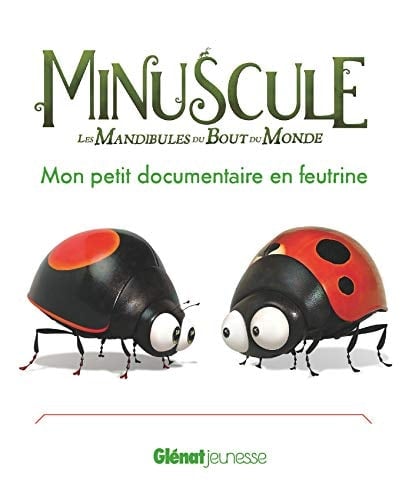 Minuscule Mon petit documentaire en feutrine