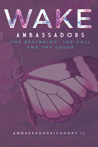 W.A.K.E. Ambassadors:: The Beginning, The Cause and The Call