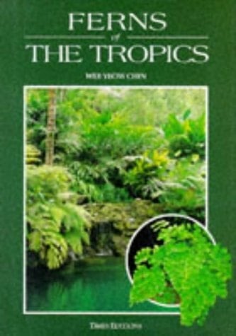 Ferns of the Tropics