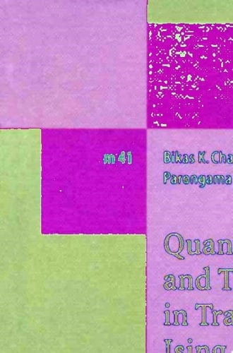 Quantum Ising Phases and Transitions in Transverse Ising Models