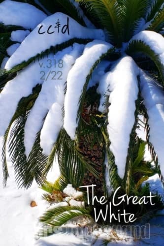 The Great White: 2/22 cc&d, v318