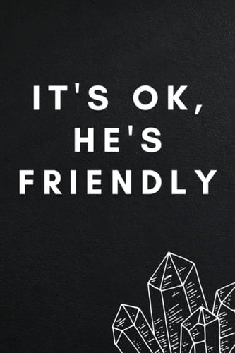 It's ok, he's friendly: gag gift notebook ,size 6x9 pages 120 Funny Office gag gift notebook Journal for family and Friends boss ,Employees and coworker