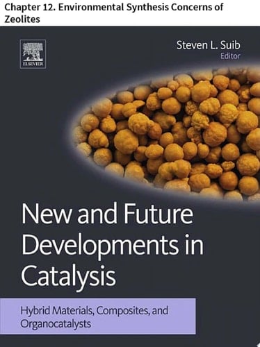New and Future Developments in Catalysis Chapter 12. Environmental Synthesis Concerns of Zeolites