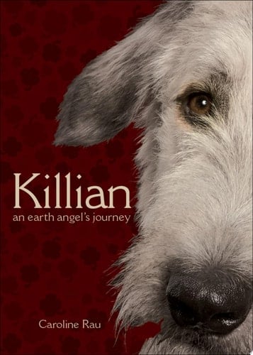 Killian An Earth Angel's Journey